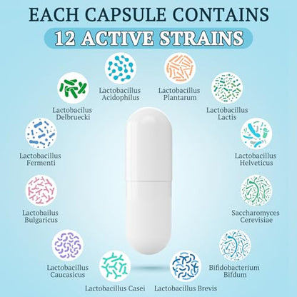 300 Billion CFU Probiotics for Digestive Gut & Immune Health, Advanced Strength Probiotics with 12 Diverse Strains + 3 Prebiotics for Women & Men (60 Count (Pack of 1))