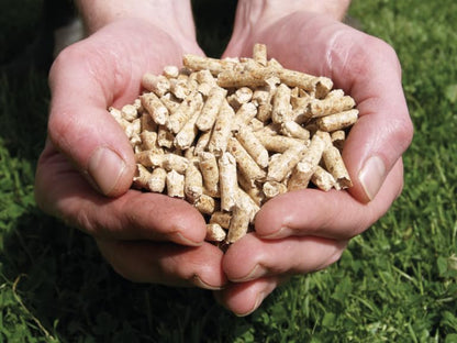 - Premium Pizza Oven Pellets  | 15 kg Bag of 100% Natural BBQ Wood Smoking Pellets -