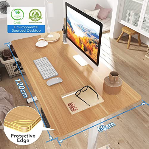 - FLEXISPOT Electric Height Adjustable Standing Desk | 120 * 60cm | Sit Stand Desk Adjustable Desk -