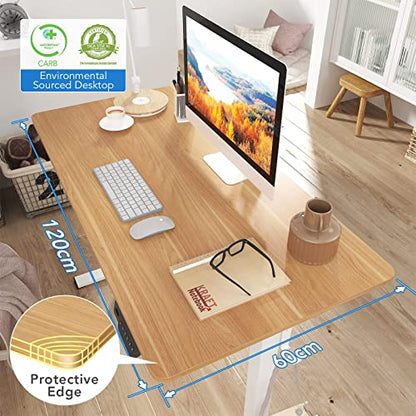 - FLEXISPOT Electric Height Adjustable Standing Desk | 120 * 60cm | Sit Stand Desk Adjustable Desk -