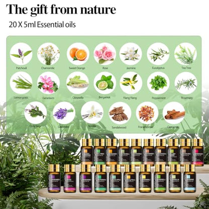 - MAYJAM 20 Pcs Pure Essential Oil Gift Set | Essential Oils for Diffusers for Home -