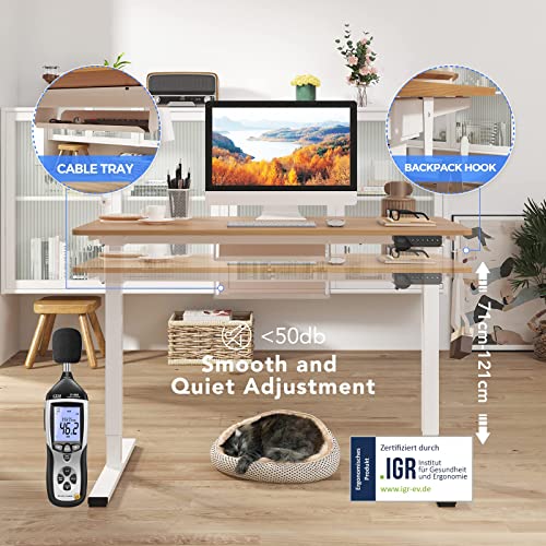- FLEXISPOT Electric Height Adjustable Standing Desk | 120 * 60cm | Sit Stand Desk Adjustable Desk -