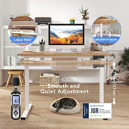 - FLEXISPOT Electric Height Adjustable Standing Desk | 120 * 60cm | Sit Stand Desk Adjustable Desk -