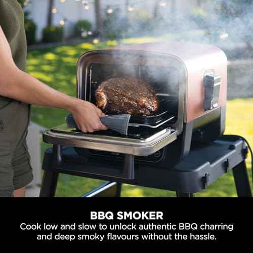 - Ninja Woodfire Electric Outdoor Oven | 8-in-1 Pizza Oven | High-Heat Roaster & BBQ Smoker with Roast Rack -