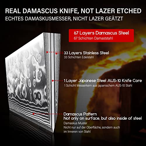 - SHAN ZU Japanese Chef Knife 8 Inch | Damascus Kitchen Knife | 67 Layers High Carbon Damascus Steel -