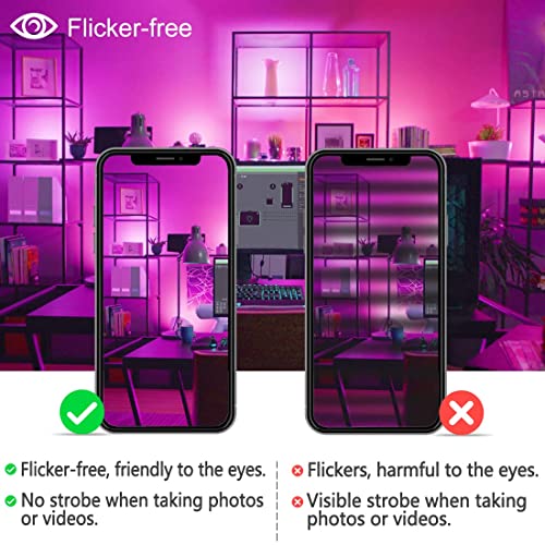 - Lighting master LED Floodlight 500W Equivalent 5000LM | Smart RGB Flood Lights Outdoor with APP Control | Colour Changing -