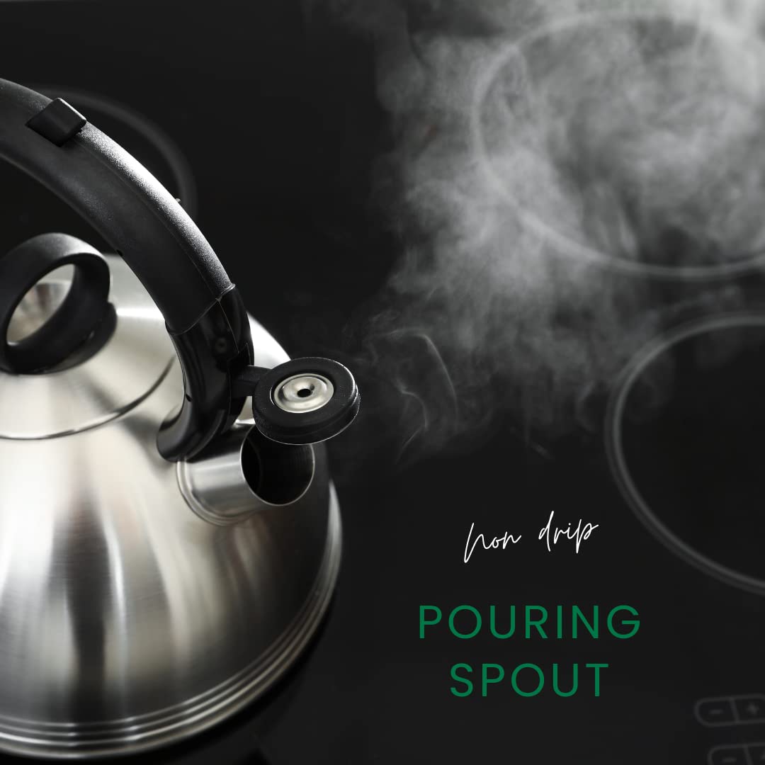- Premium Stainless Steel Whistling Kettle | 10 Colors | Stove top | Non-Drip Pouring Spout  -