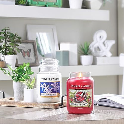 - Yankee Candle Scented Candle, Midnight Jasmine Large Jar Candle, Gifts for Women