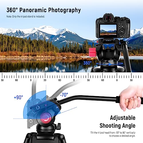 - NEEWER 79"/200cm Video Tripod | Heavy Duty Aluminum Alloy Camera Tripod Stand -