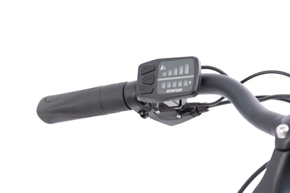 - F.lli Schiano E-Moon 28 inch electric bike -