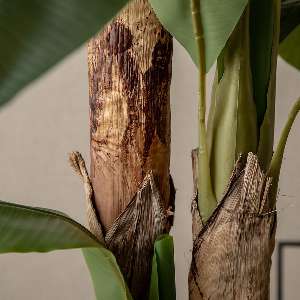 - Maia Shop Artificial Banana Tree | 150 cm | Home and Office Decoration -