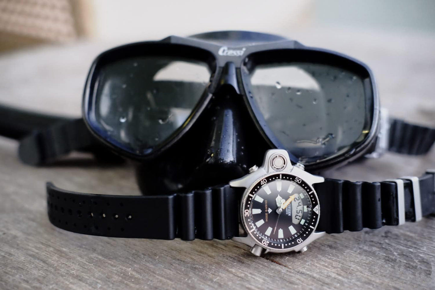 Citizen Men's Maine Promaster Watch