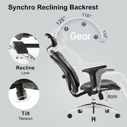 - SIHOO Ergonomic Office Chair | Mesh Desk Chair | Adjustable Lumbar Support -
