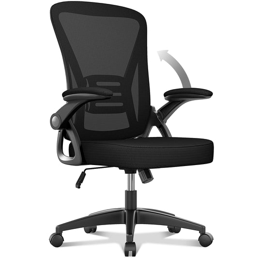 - naspaluro Office Chair Ergonomic Desk | 90° Flip-up Armrest Lumbar Support | Height Adjustable Chair -