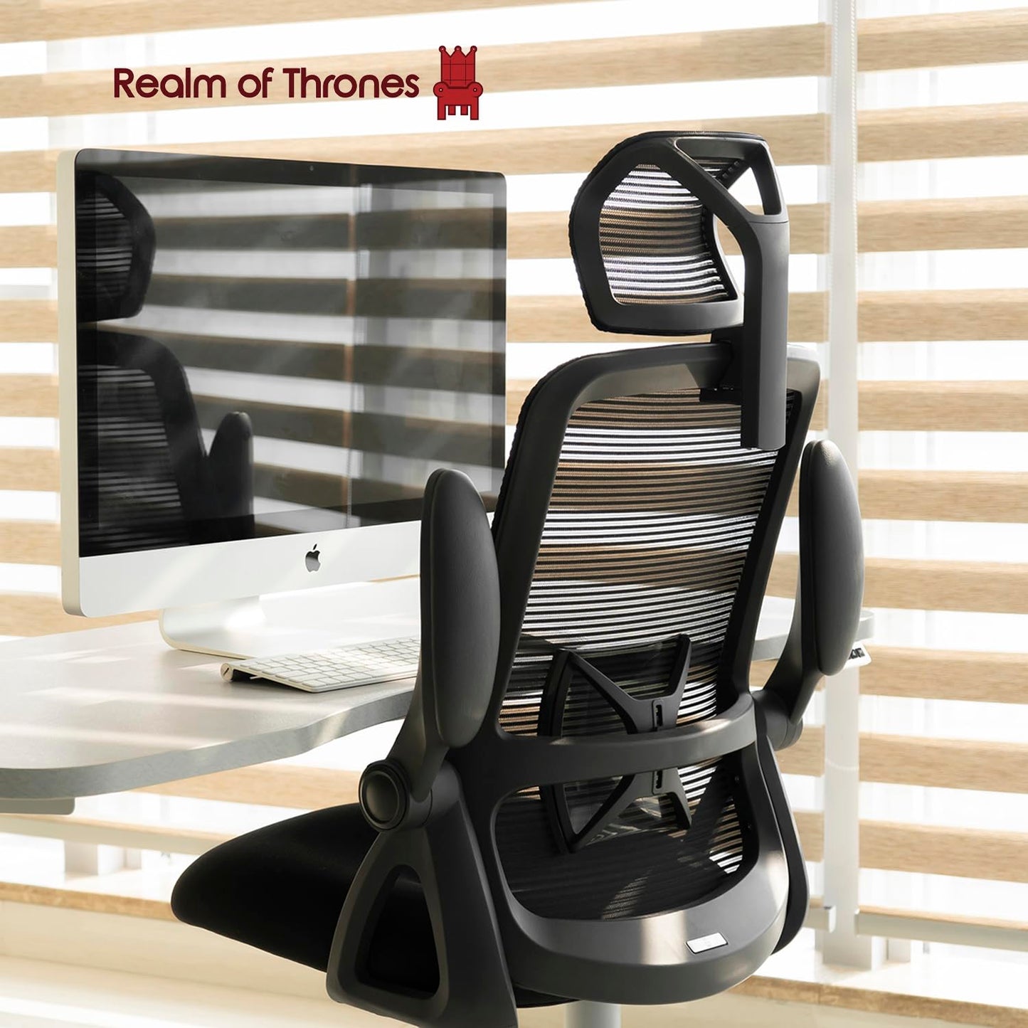 - Realm of Thrones CAPTAIN Ergonomic Office Chair | Metal Base Heavy Duty Home Office Mesh Desk Chair -