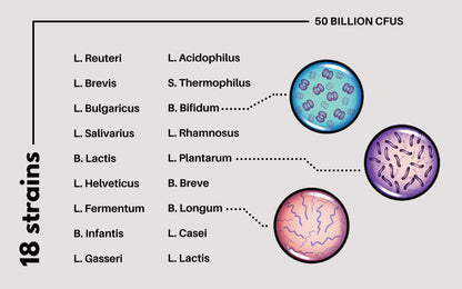 - Powerful 50 Billion CFU Probiotics | 18 Strains | Stomach Acid Resistant | Shelf Stable -