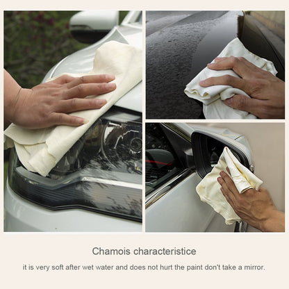 Car Natural Chamois Cleaning Cloth, RIVERLAKE Genuine Deerskin Leather Auto Car Wash Drying Towel,Super Absorbent,3 Available Sizes. (S:20''x12'' - 1PACK)