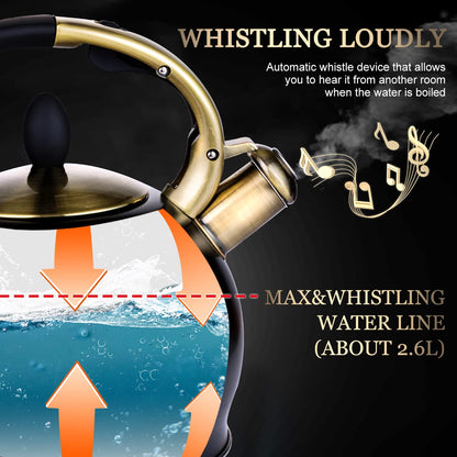 - SUSTEAS Stove Top Whistling Tea Kettle | Surgical Stainless Steel Teakettle Teapot | 3L | Black -