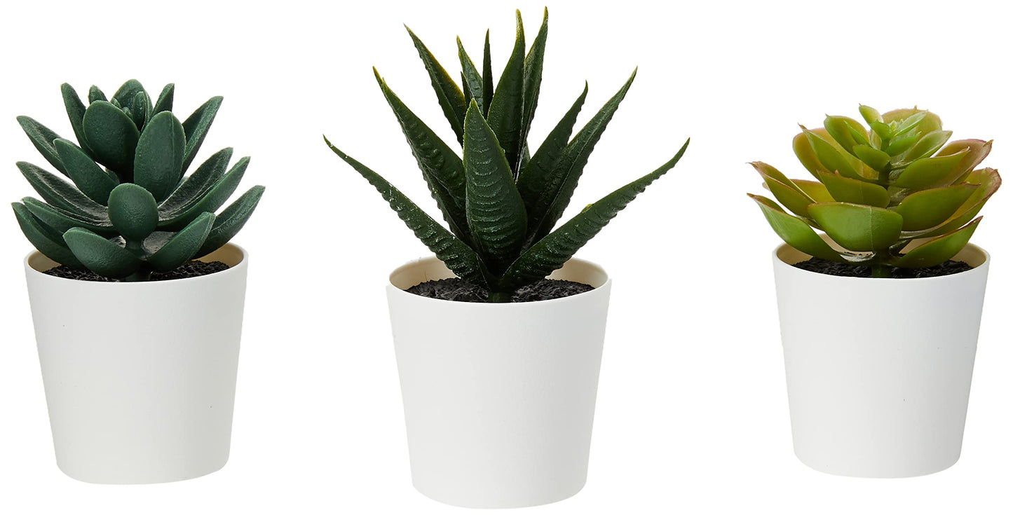 - IKEA FEJKA Mini Artificial Succulent Desk Plants | 3 Pack -