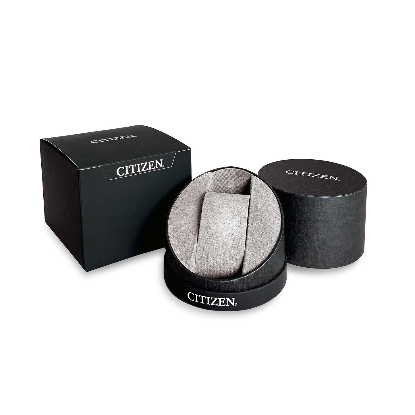 Citizen Men's Maine Promaster Watch