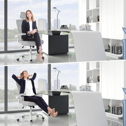 - naspaluro Office Chair | Ergonomic Office Chair with Lumbar Support | High Back -