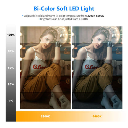 - Neewer LED Video Lighting Kit | 70inch Light Stand | 2-Pack 384 LED Soft Video Light -