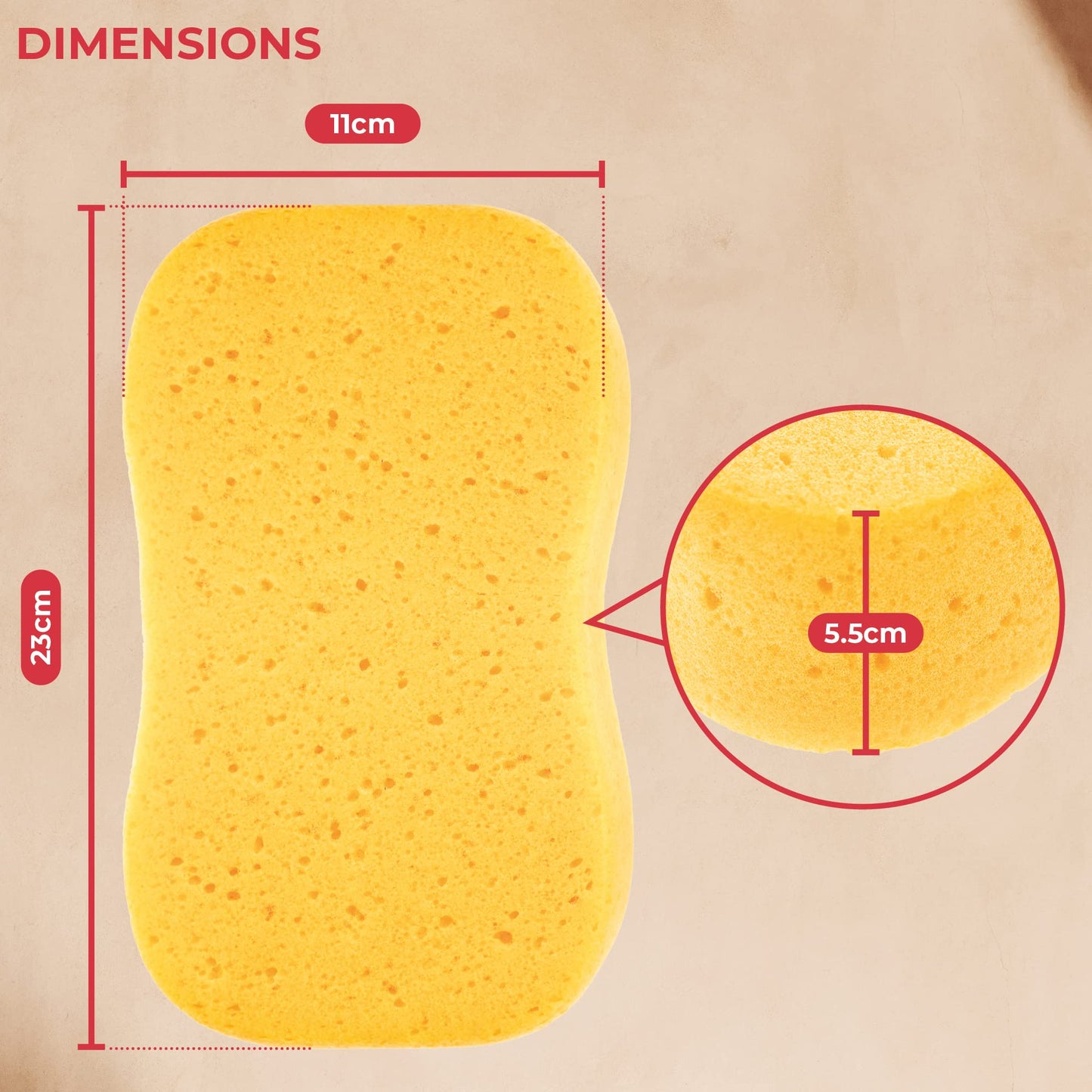 - GADLANE Jumbo Car Wash Sponges 3 Pack | Super Absorbent Car Sponge Set | Pack of 3 -