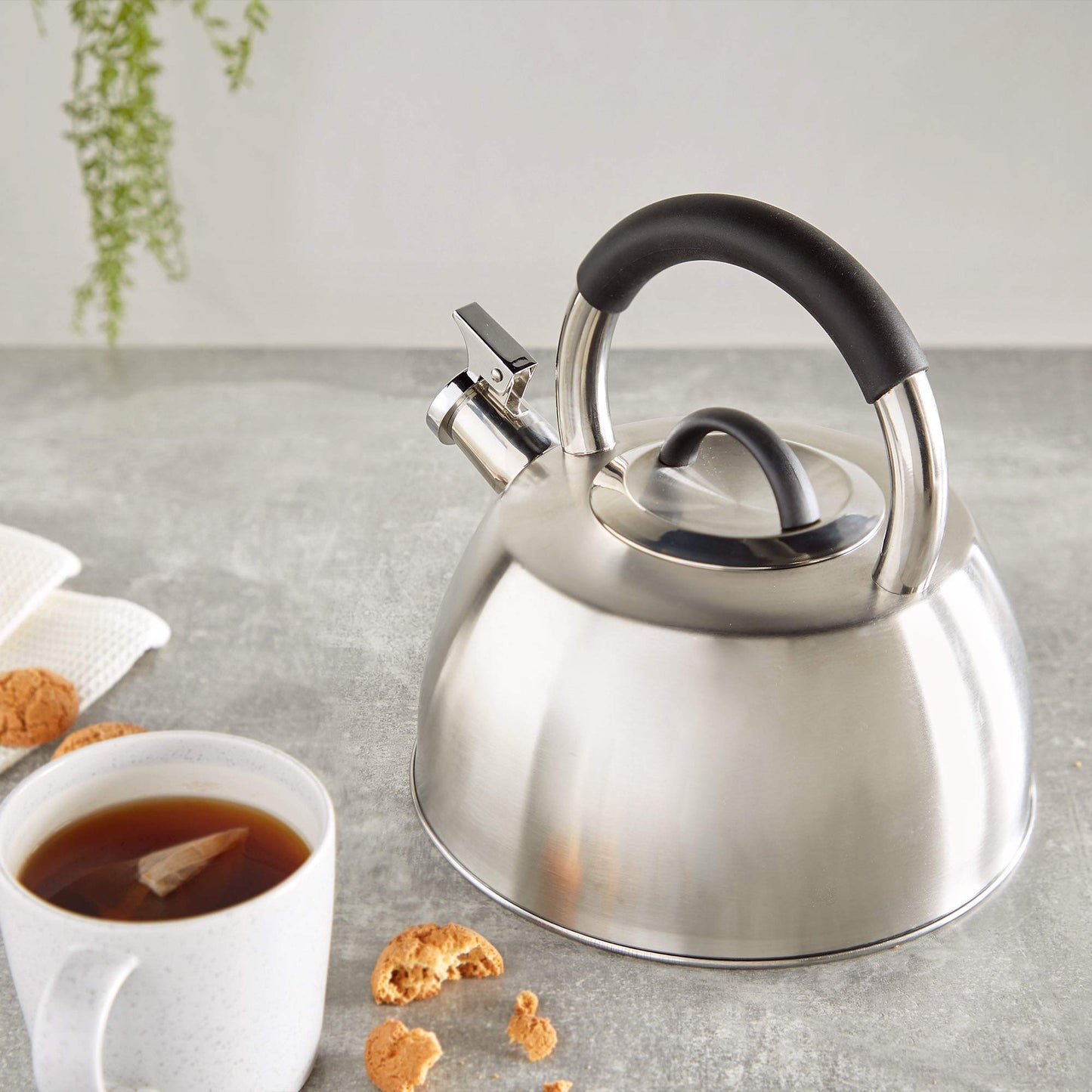 - VonShef Stove Top Kettle, Stainless Steel Whistling Kettle