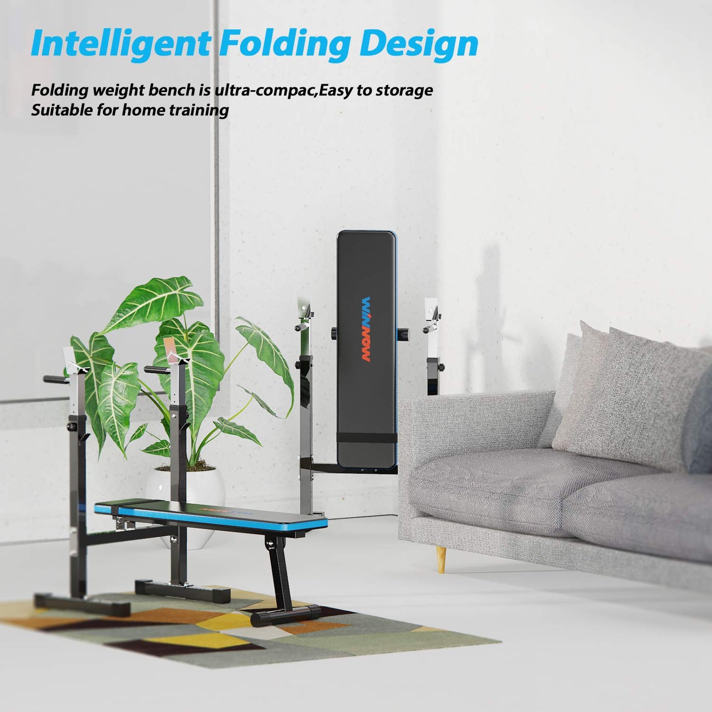 - WINNOW Adjustable Weight Lifting Bench with Dip Station