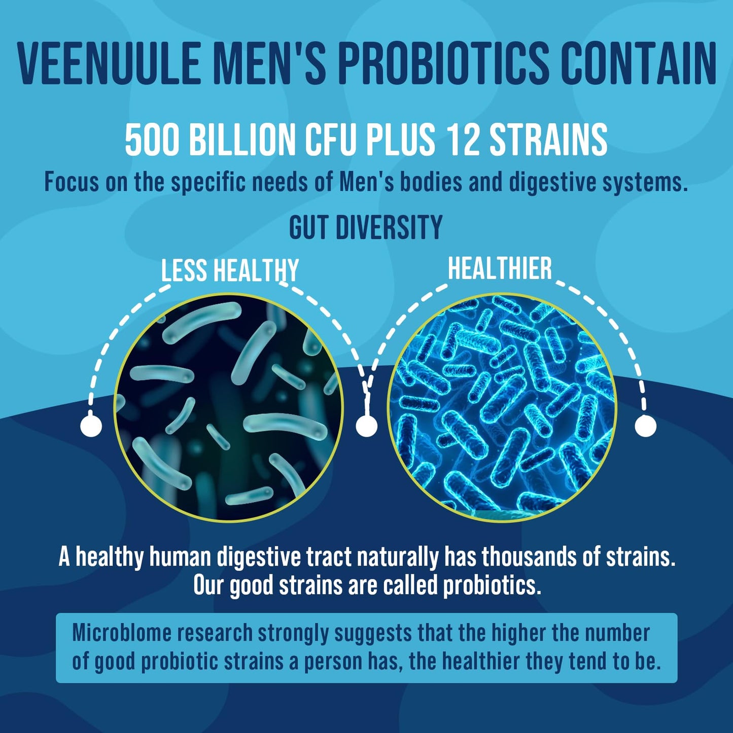 500 Billion CFU Probiotics for Men, 12 Diverse Strains Probiotics for Gut Health with Cranberry, Turmeric, Goji, for Digestive & Immune Health, Shelf Stable (60 Count (Pack of 1))