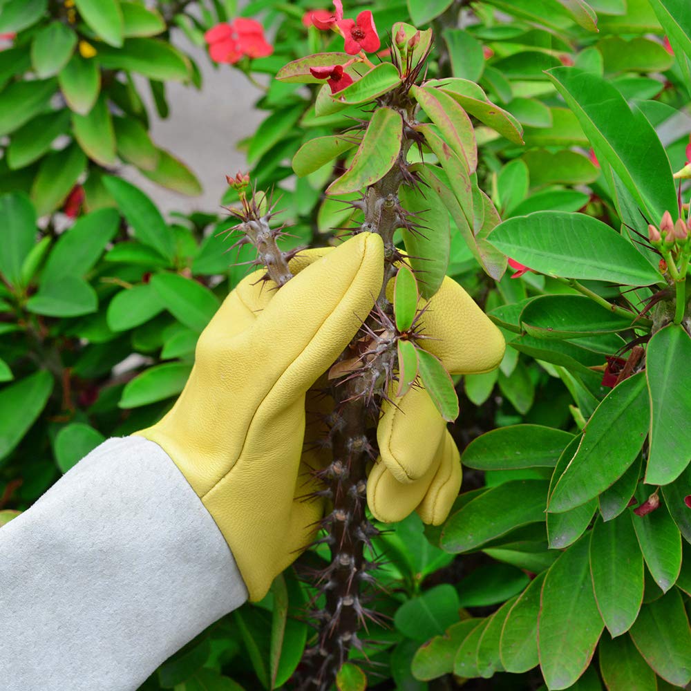 - Gardening Gloves | Heavy Duty Gardening Gloves Thorn Proof -