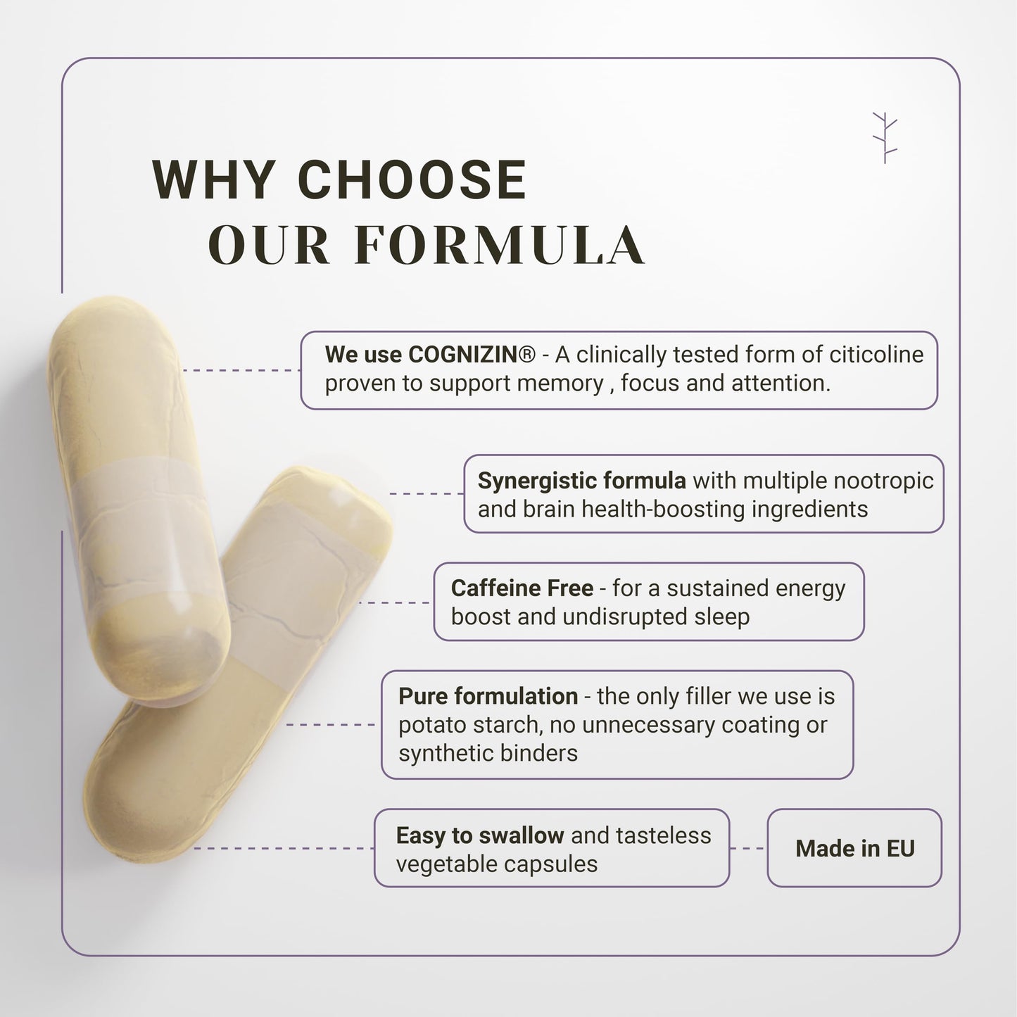 - Nootropic Memory & Focus Nullure | Brain Supplement | Concentration -