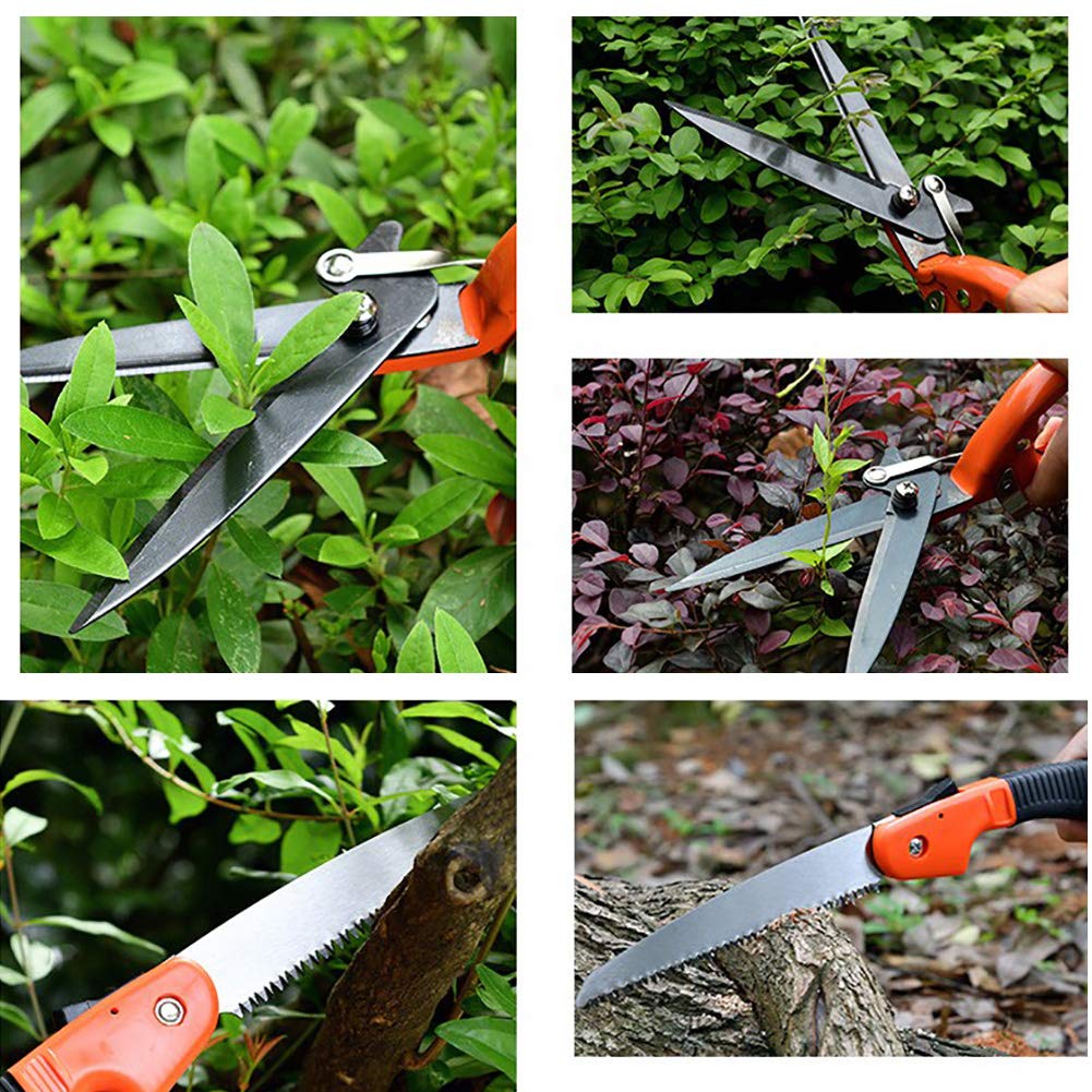- ZYMY Gardening Tools Set, 12 Pcs Garden Hand Tools Kit