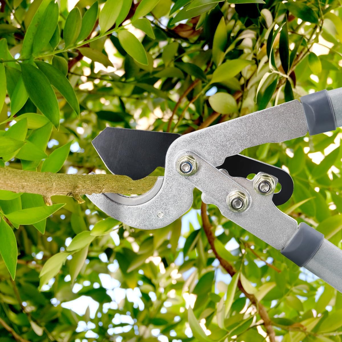 - Hortem Garden Shears Set | 28" Tree Loppers Heavy Duty | 23" Professional Hedge Clippers | 8" Sharp Pruning Shears -