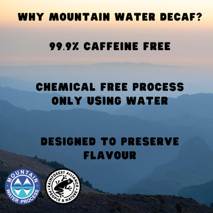 Counter Coffee | Mexican Decaf Whole Beans | Chemical-Free Decaffeinated | 100% Arabica Beans Medium Roasted | Rainforest Alliance Certified | Perfect for Afternoons | 1KG Whole Bean
