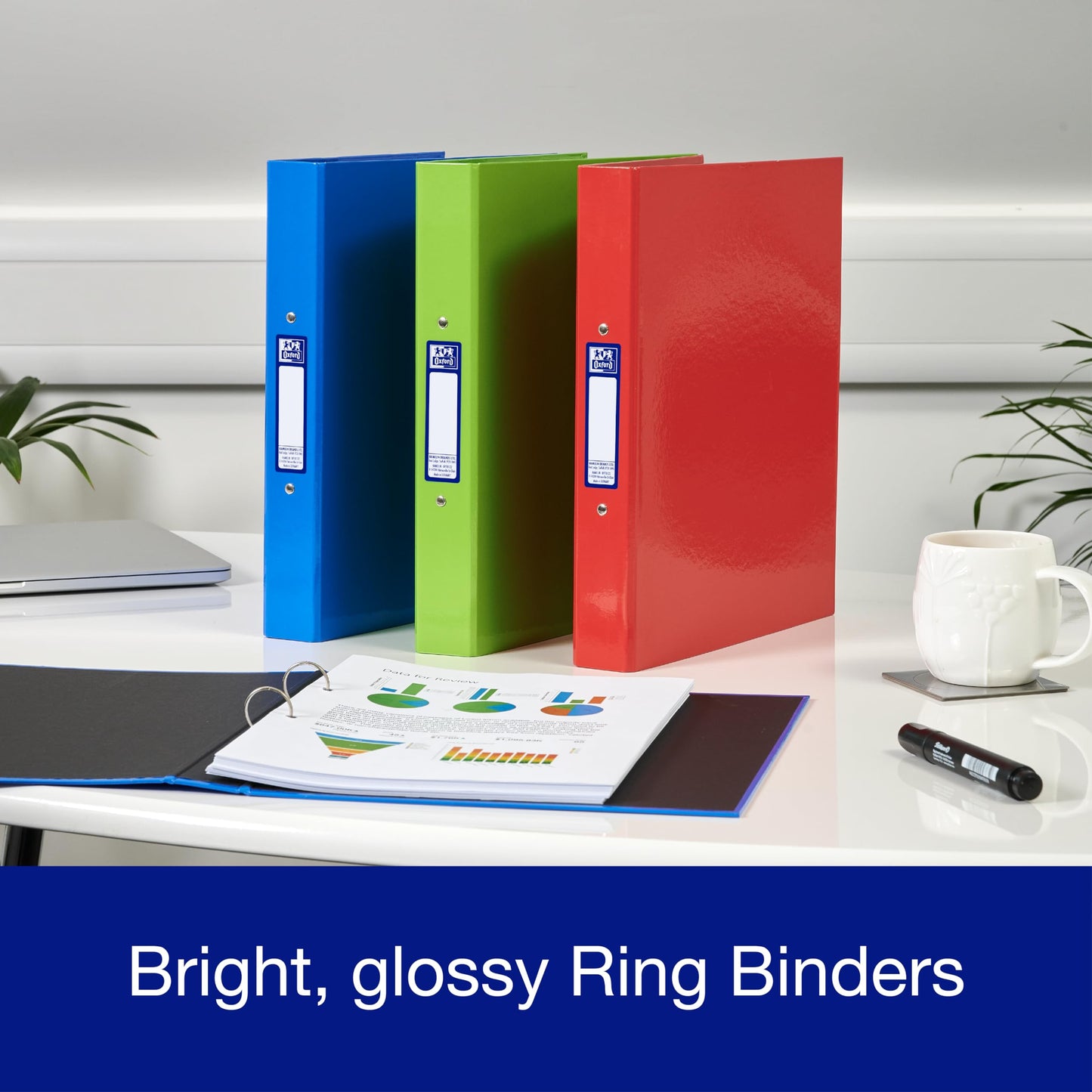 - Oxford A4 Ring Binders | Red/Green/Blue | Pack of 3 Folders 40mm -