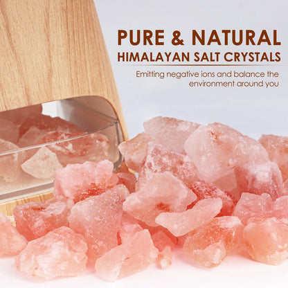 - SALKING 2-in-1 Ultrasonic Essential Oil Diffuser | Himalayan Salt Lamp -
