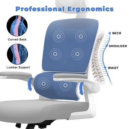 - naspaluro Office Chair | Ergonomic Office Chair with Lumbar Support | High Back -