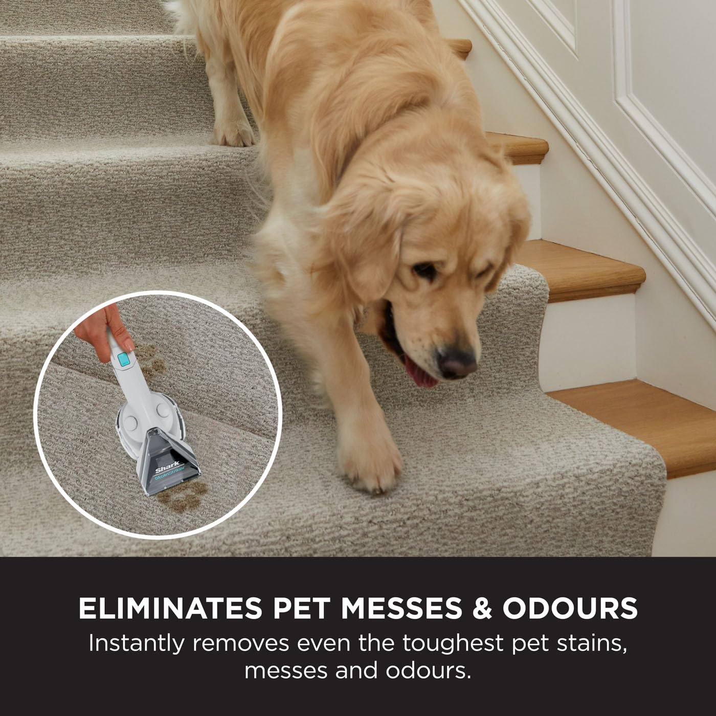 - Shark StainStriker | Pet Stain & Spot Cleaner | 5 Tools including Pet, Crevice & Hose-Cleaning Tools | 450W | White | PX200UKT -