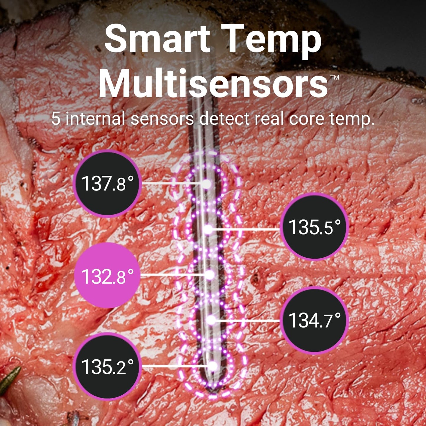 - MEATER 2 Plus: Direct Heat Grilling at 550°C, Smart Meat Thermometer