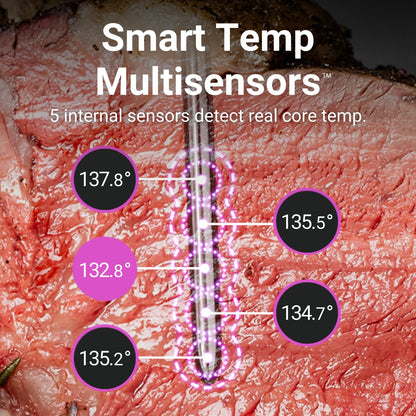 - MEATER 2 Plus: Direct Heat Grilling at 550°C, Smart Meat Thermometer