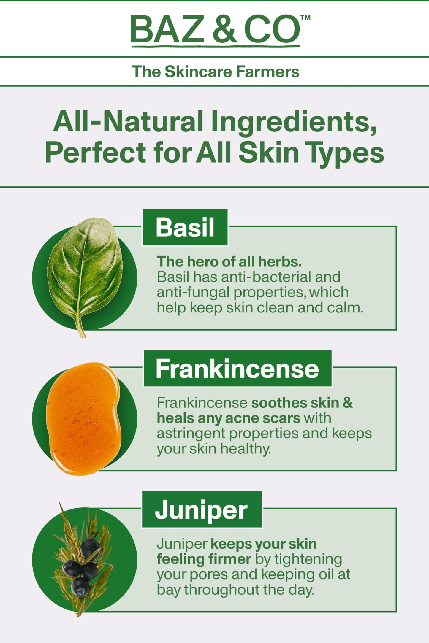 BAZ & CO Skin Food Moisturiser Face Cream for Men 50ml with Basil, Frankincense and Juniper