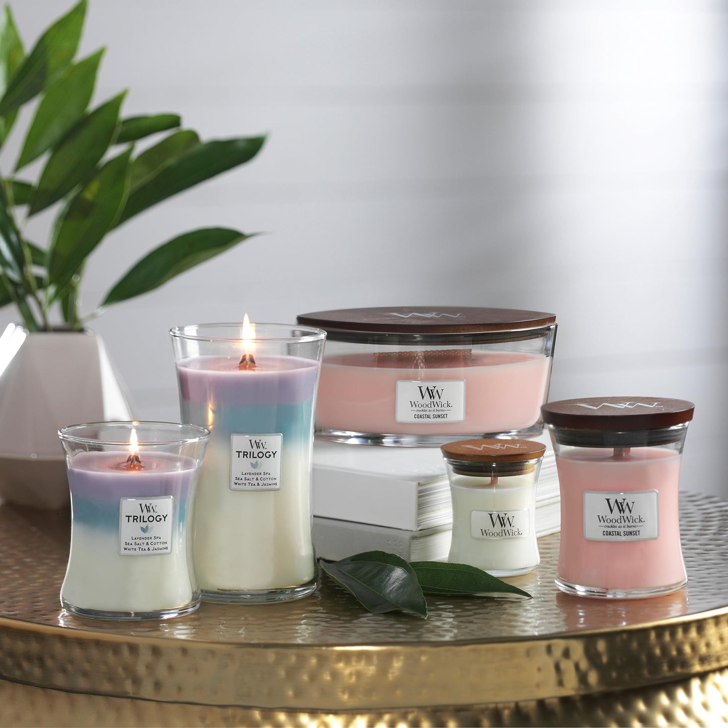 - Woodwick Medium Hourglass Trilogy Scented Candle