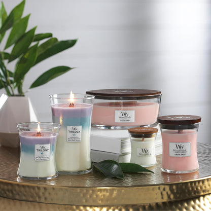 - Woodwick Medium Hourglass Trilogy Scented Candle