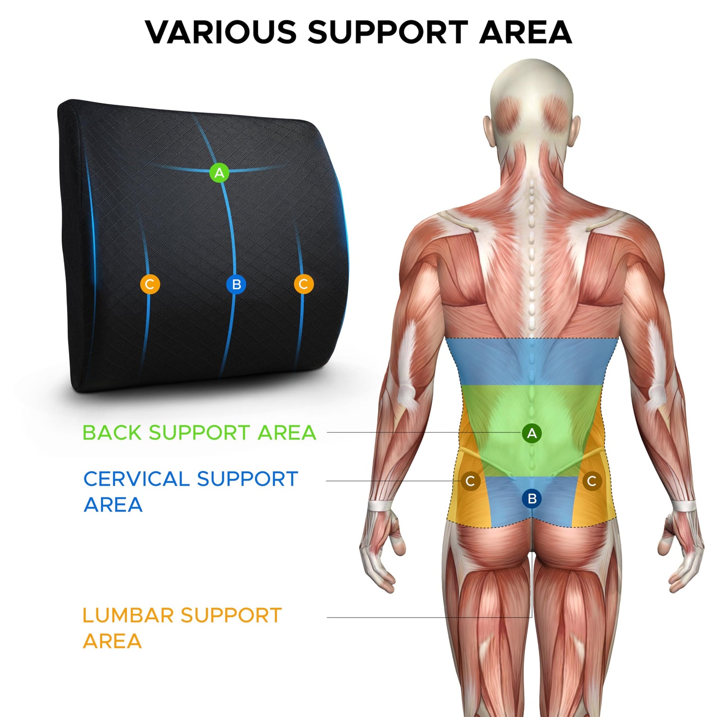 - EcoNour Lumbar Support Pillow for Car and Office Chair  -