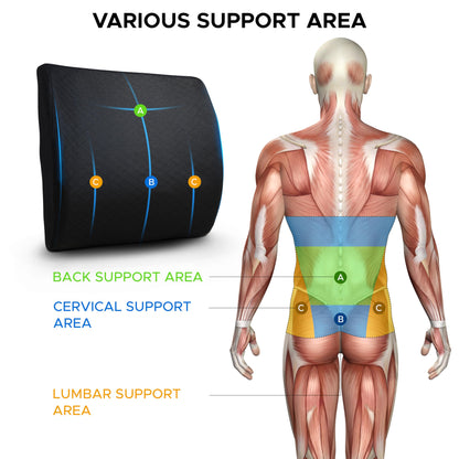 - EcoNour Lumbar Support Pillow for Car and Office Chair  -