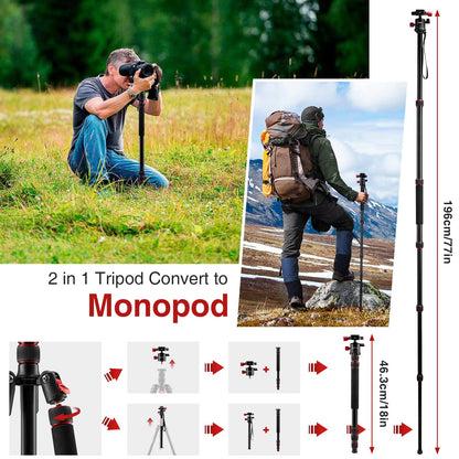 CAMOLO 75" Camera Tripod DSLR Tripod for Travel Aluminum Camera Tripod Monopod 360° Panorama Ball Head with Quick Release Plate Professional Tripod with Carry Bag Phone Mount w Cold Shoe 33 lbs Load