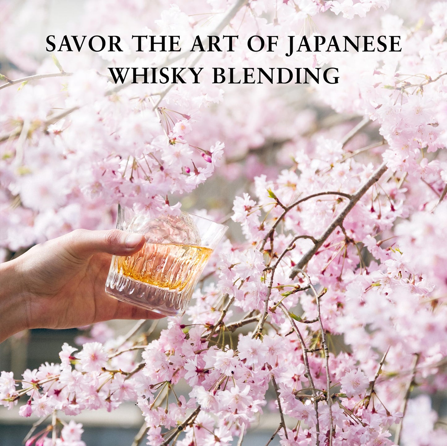 - Hibiki Japanese Harmony Suntory Whisky | 70cl -