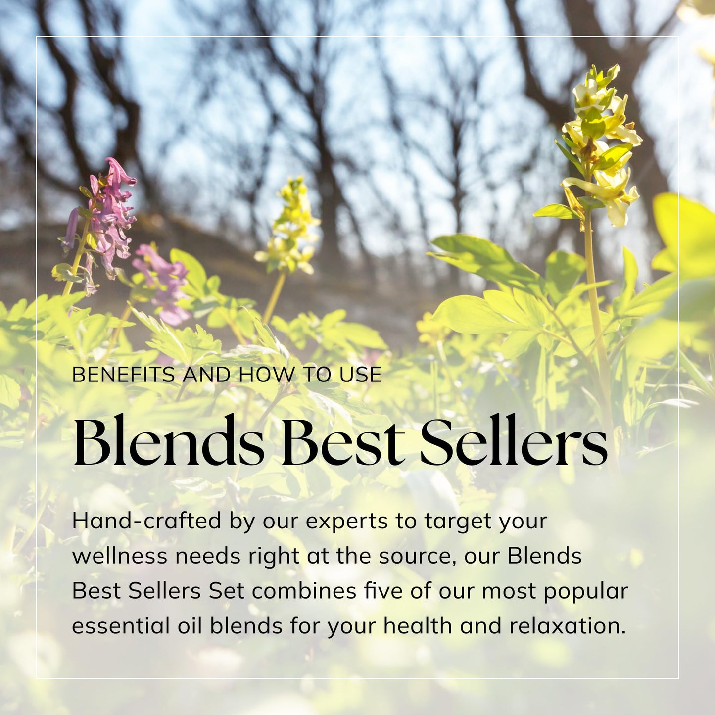 - Nikura Essential Oils Blends Gift Set - 5 x 10ml | Calming Essential Oils for Diffusers for Home -