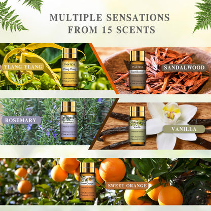 - PHATOIL Essential Oils Set (15Pcs Oils | Pure Lavender,Eucalyptus,Jasmine,Lemongrass,Sweet Orange,Sandalwood,Peppermint,Vanilla,Rose,Lemon,Ylang Ylang,Chamomile,Tea Tree,Cinnamon,Rosemary